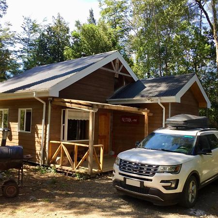 Cabanas Nutrias Patagonicas Puelo River Εξωτερικό φωτογραφία