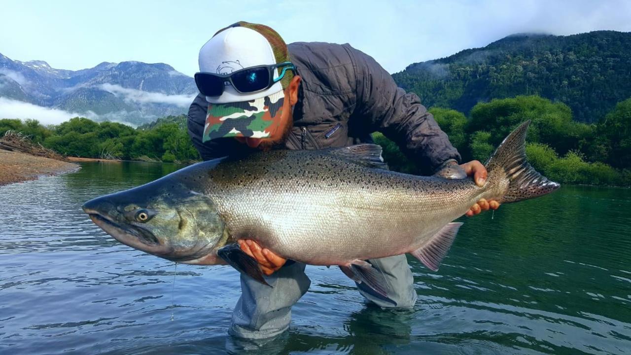 Cabanas Nutrias Patagonicas Puelo River Εξωτερικό φωτογραφία