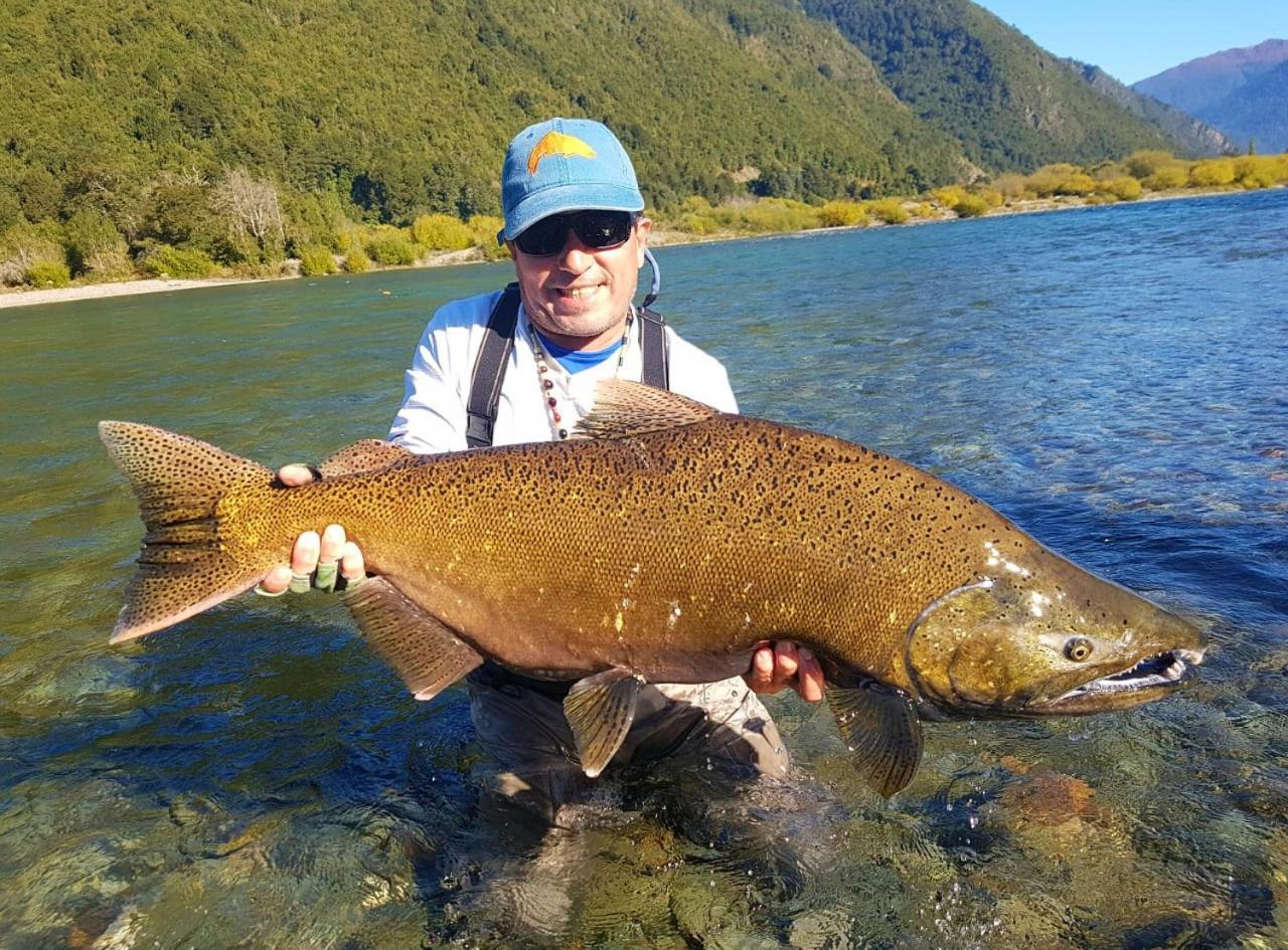 Cabanas Nutrias Patagonicas Puelo River Εξωτερικό φωτογραφία