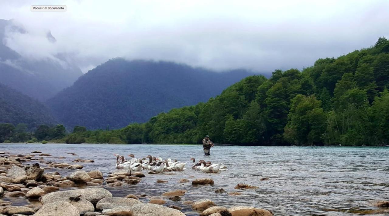 Cabanas Nutrias Patagonicas Puelo River Εξωτερικό φωτογραφία
